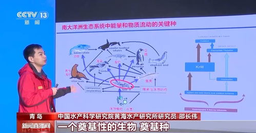 筑夢南極丨如何給南極冰蓋做CT 揭開那些藏在科考站里的科技奧秘