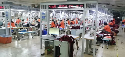 客服火線入職備戰(zhàn)天貓雙11，流水線24小時(shí)趕工，不夜廠點(diǎn)亮江蘇咨詢(xún)策劃服務(wù)